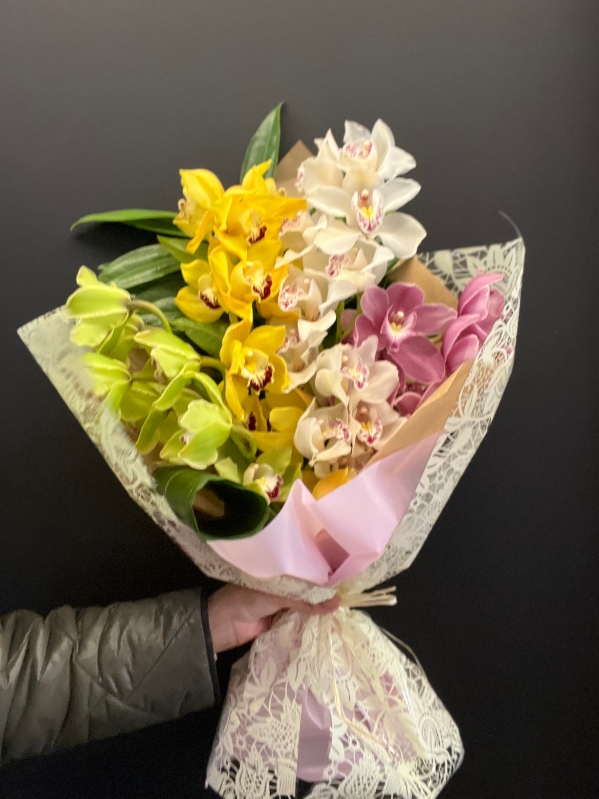 Orchid lover